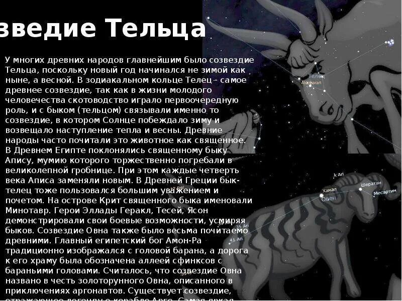 Телец мужчина даты. Описание тельца. Знак зодиака Телец. Сообщение о знаке зодиака Телец. Рассказ про тельца.