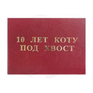 Песня коту под хвост