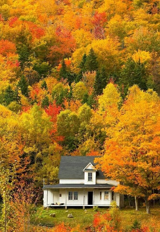File:Canadian Autumn scenery , close Nestor Falls (Sioux Narrows) Ontario Trans 