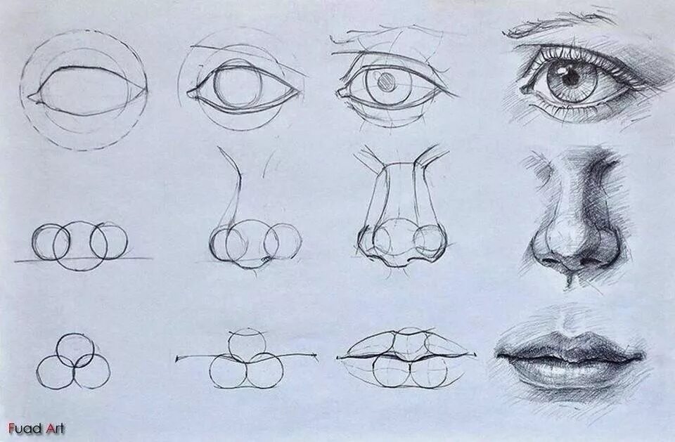 How to learn drawing