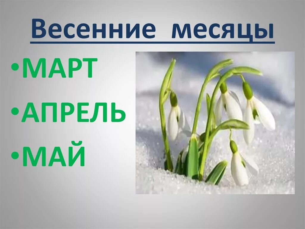 Апрель какой месяц весны. Месяцы весны. Месяцы весны для дошкольников.