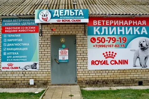 Ветклиника г орел