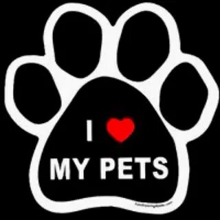 I love petting