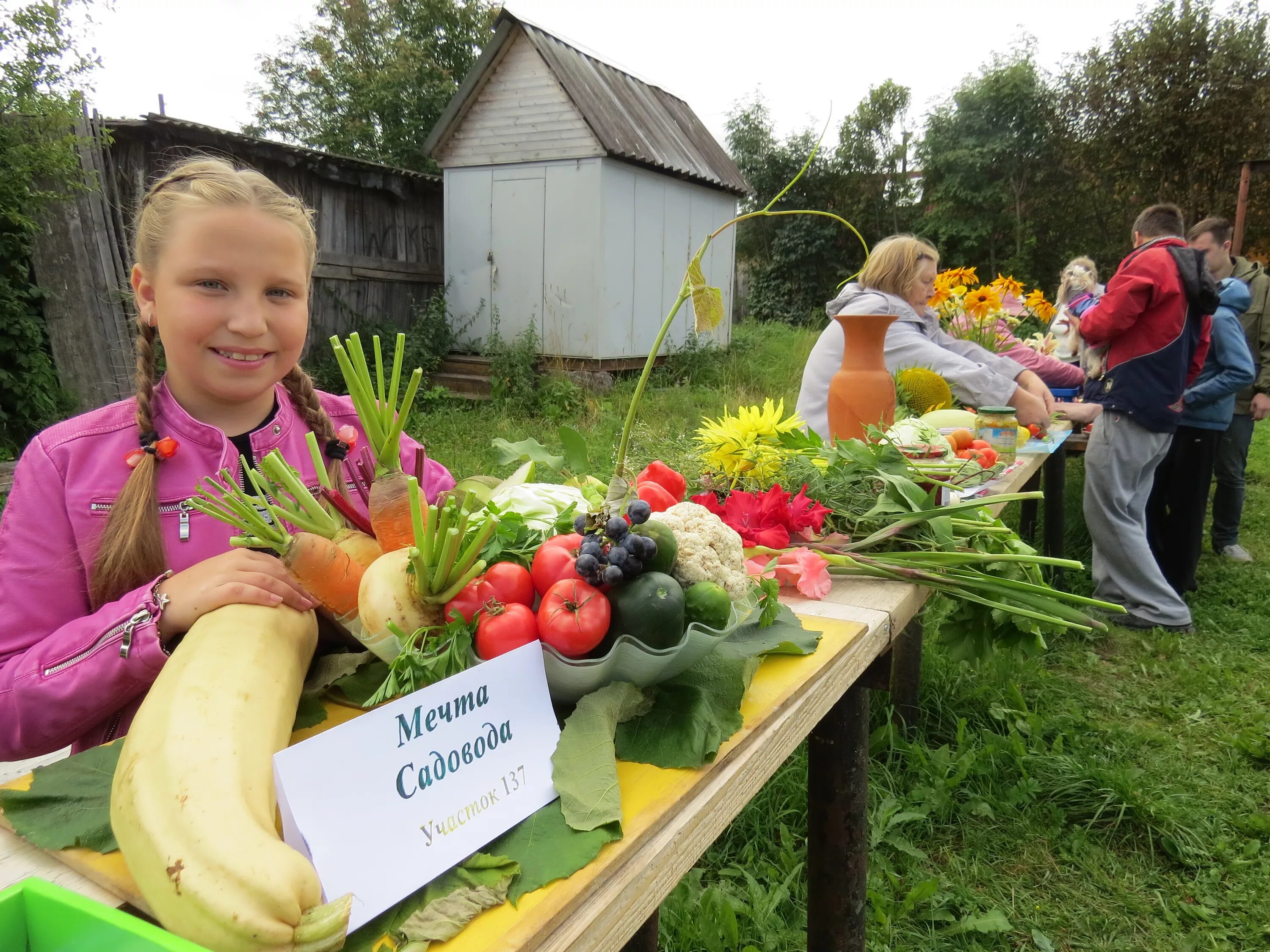 Огородный праздник. Открытка садоводу. День дачника. Пейзаж огород. Огородный праздник.