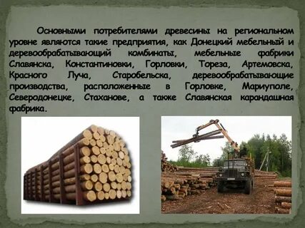 Главным источником древесины являются