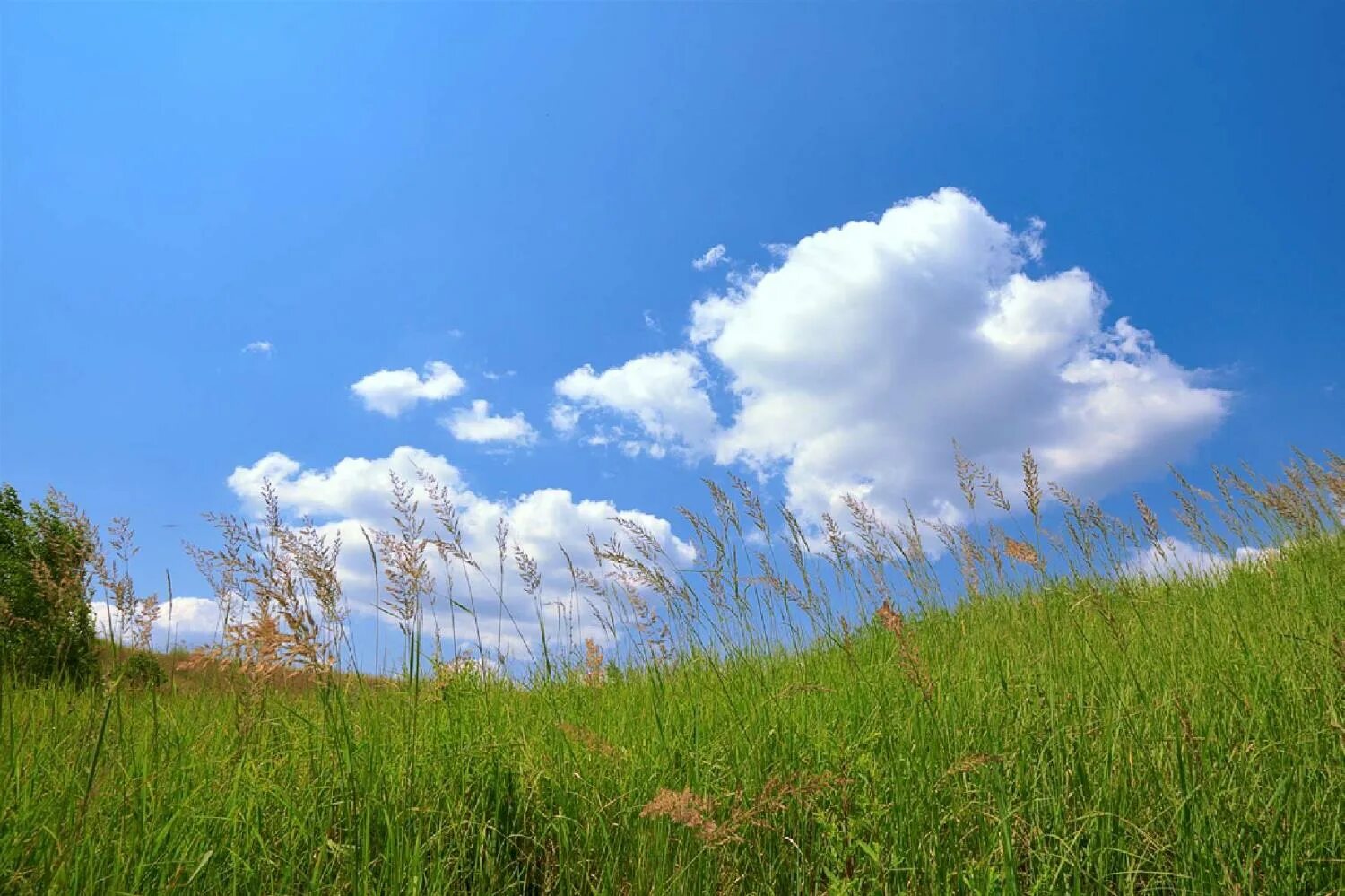 пасмурно без осадков. облако картинка. лето переменная облачность. июнь облачно. июльский пейзаж.