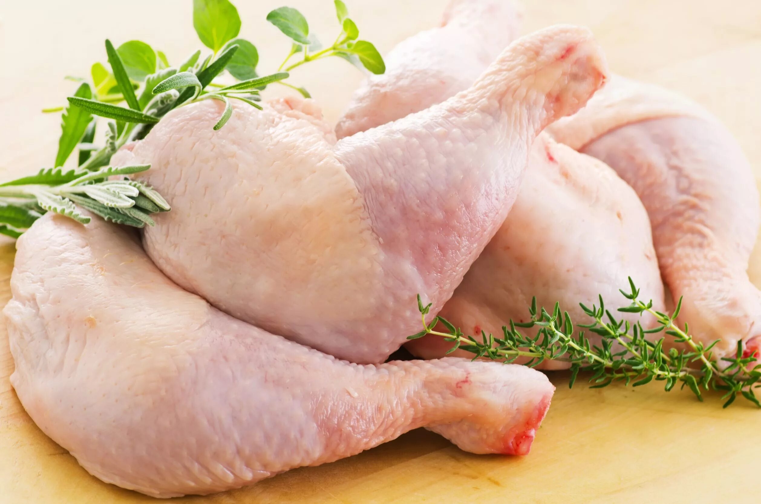 Мясо птицы. Куриная продукция. Курица мясо. Куры охлажденные.
