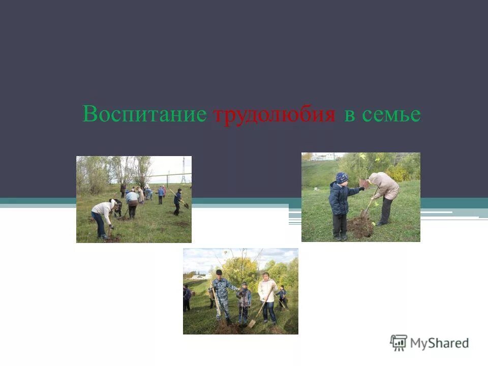 Значение трудолюбия в жизни человека. Воспитание трудолюбия. Воспитание трудолюбия в семье. Символ трудолюбия. Счастье в труде.