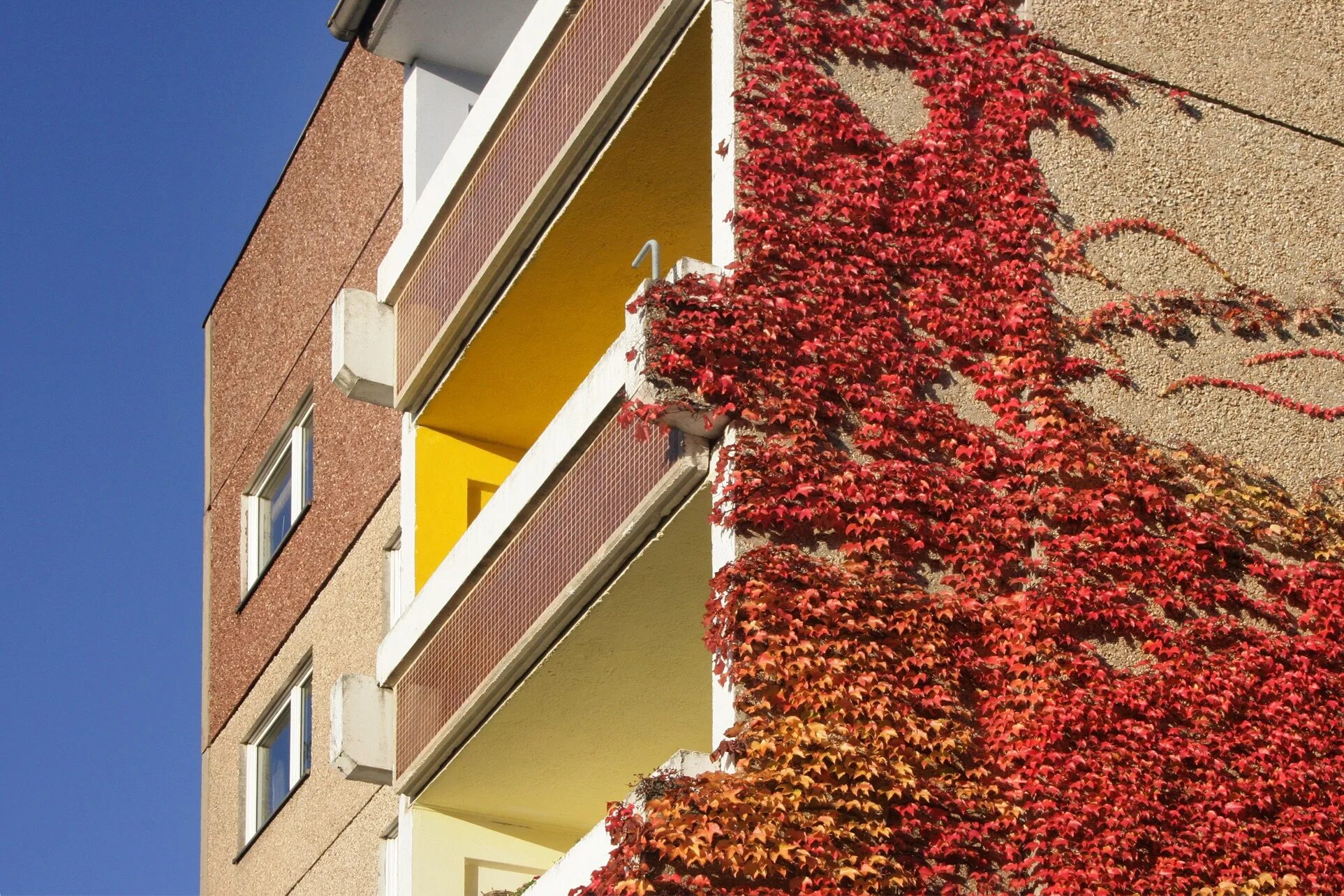 Купить квартиру лист. Фасад жилого дома винный цвет. Осенью фасад siltinimas. Пятна на фасада осенью. Елка в доме на балконе Живая.