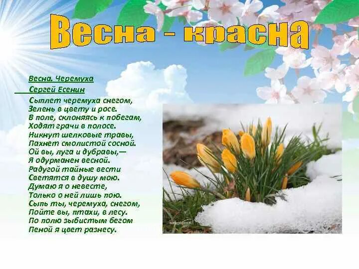 Стихотворение о весне. Стих про весну. Стихи Есенина о весне. Стихи про весну короткие. Весеннее стихотворение есенина