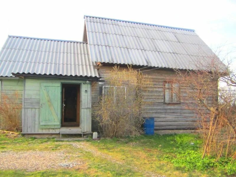 Хвойная новгородская контакте объявления. Миголощи Новгородская область. Деревня Миголощи Новгородская область. . Миголощи Хвойная. Тверская область деревня Миголощи.