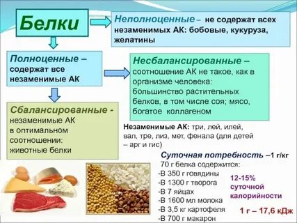 Растительным белком является