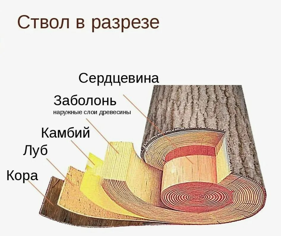 Как создать срез