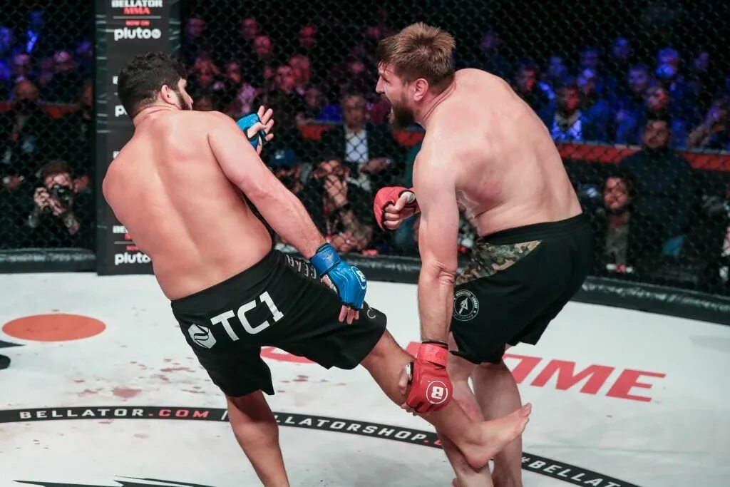 Бой виталия минакова в 2024 году. Bellator 269 карди. Минаков против.