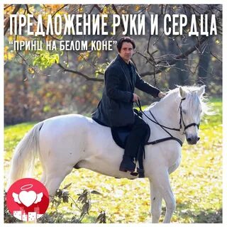 Принц на коне став
