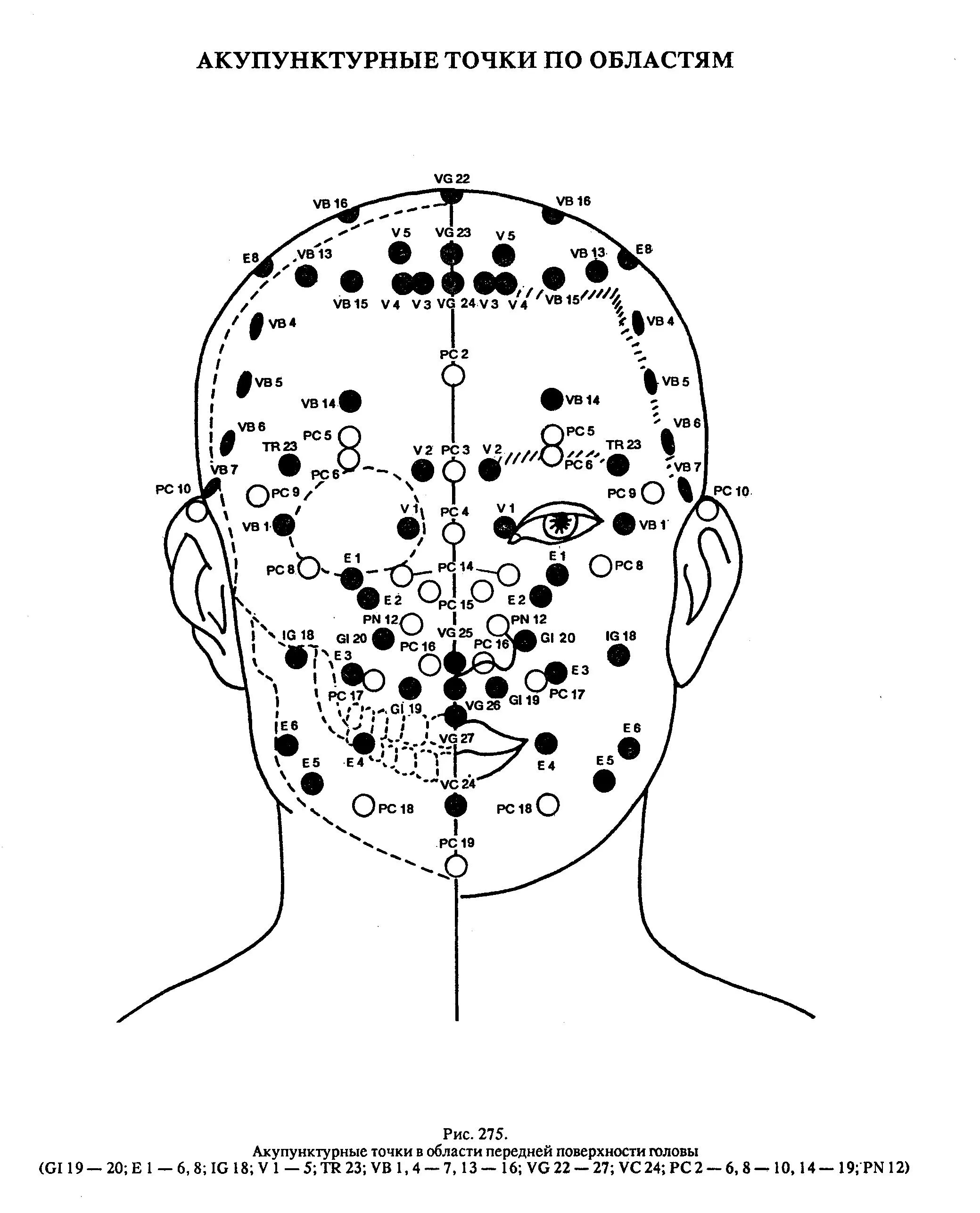Акупунктурные точки головы схема. Акупунктура головы человека схема. Акупунктура схема точек. Щитовидная железа точки акупунктуры. 13 точка человека