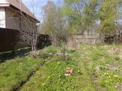 Земля рыбинск