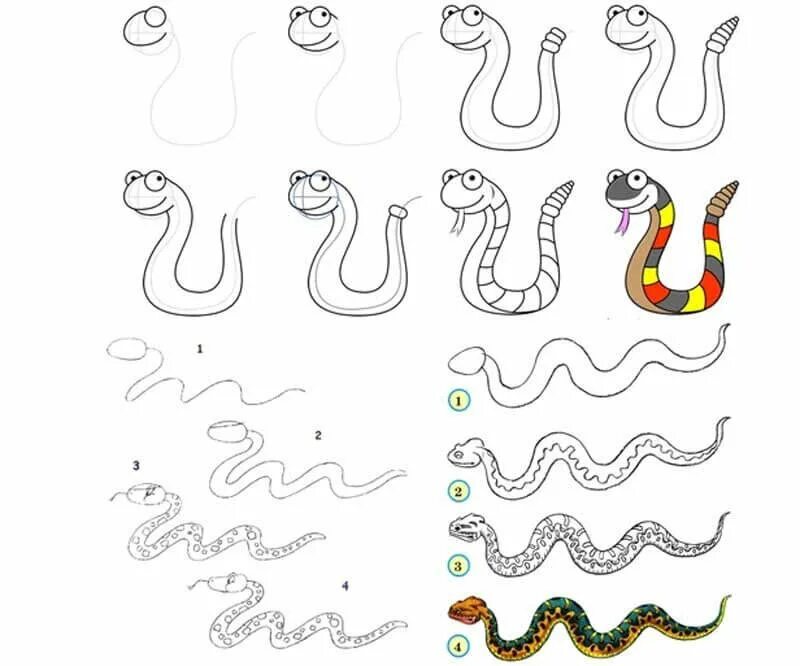 Змея поэтапное рисование. Как нарисовать змею. Схема рисования змеи для детей. Поэтапное рисование змеи для детей.