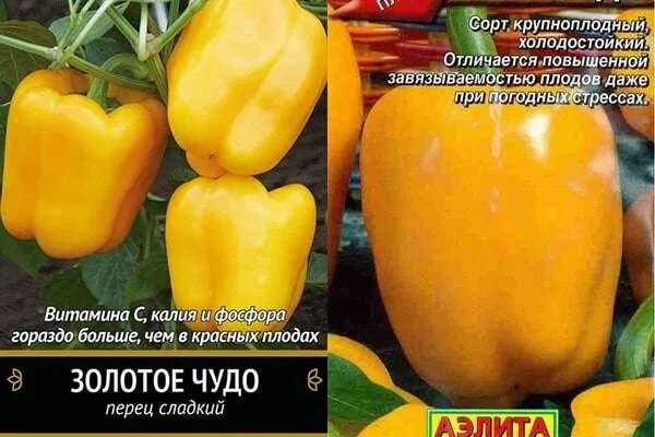 Перец сладкий золотое чудо семена. Перец сладкий золотое чудо. Сорт перца золотое чудо. Сорт перца золотое чудо. Перец сладкий золотое чудо.