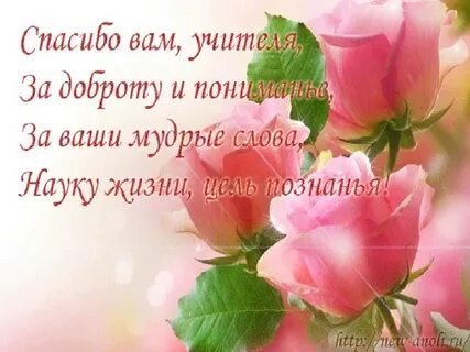 Вашего мудрого