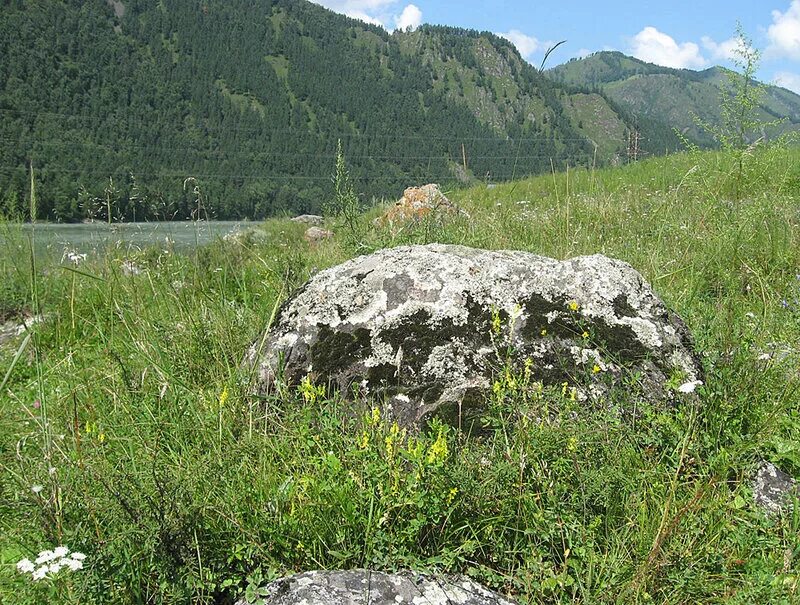 Камни горного Алтая. Камень Рериха на Алтае Куюс. Чемал камни. Урочище Тургунда. Купить камень в алтайском крае