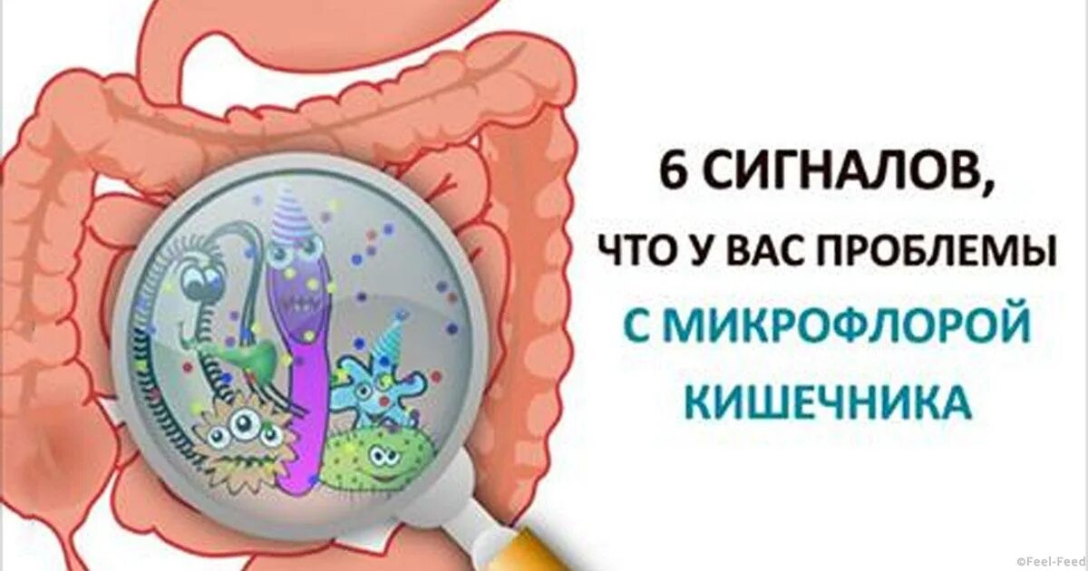 Здоровый кишечник здоровый иммунитет. Проблемы с микрофлорой. Дисбактериоз кишечника симптомы. Микрофлора кишечника. Кишечный дисбактериоз.