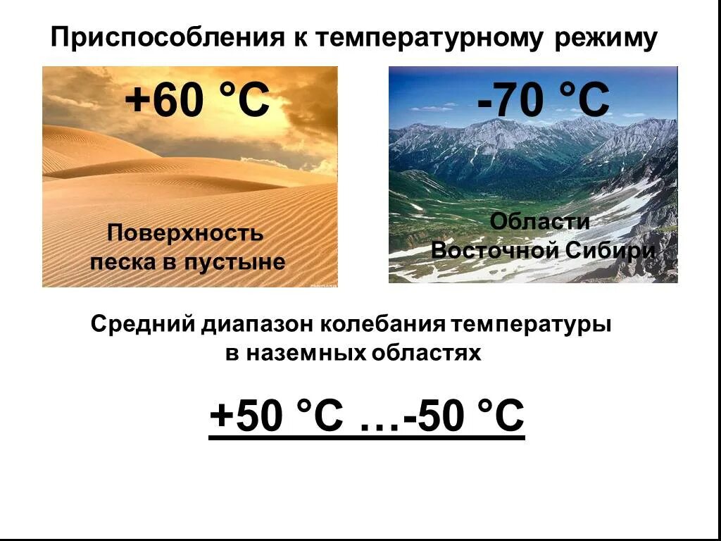 Средняя температура летом в пустыне. Температурный режим в пустыне. Колебание температуры в пустыне. Тепловой режим приспособления. Максимальная температура в пустыне.