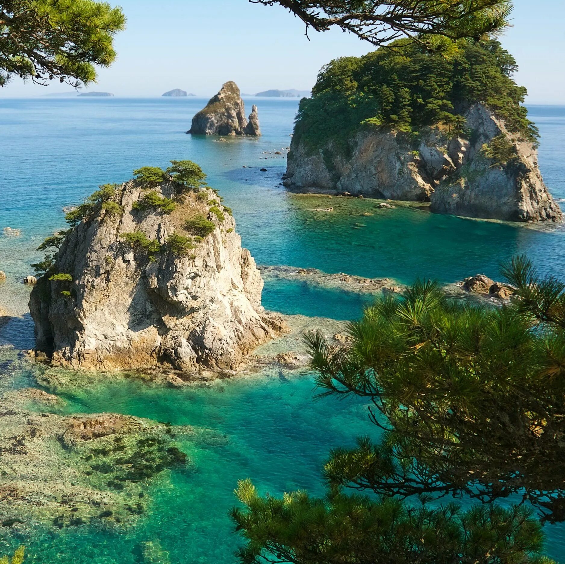 андреевка бухта витязь. витязь морское. дальний восток бухта витязь. витязь морское. гостевой дом витязь морское.