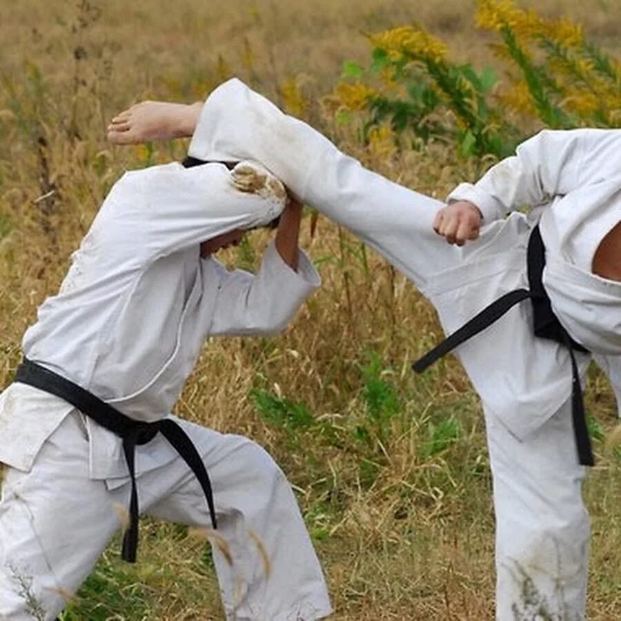 Прошел карате. Чёрный пояс / Kuro Obi (2007. Чёрный пояс куро Оби. Карате боевые искусства Японии.