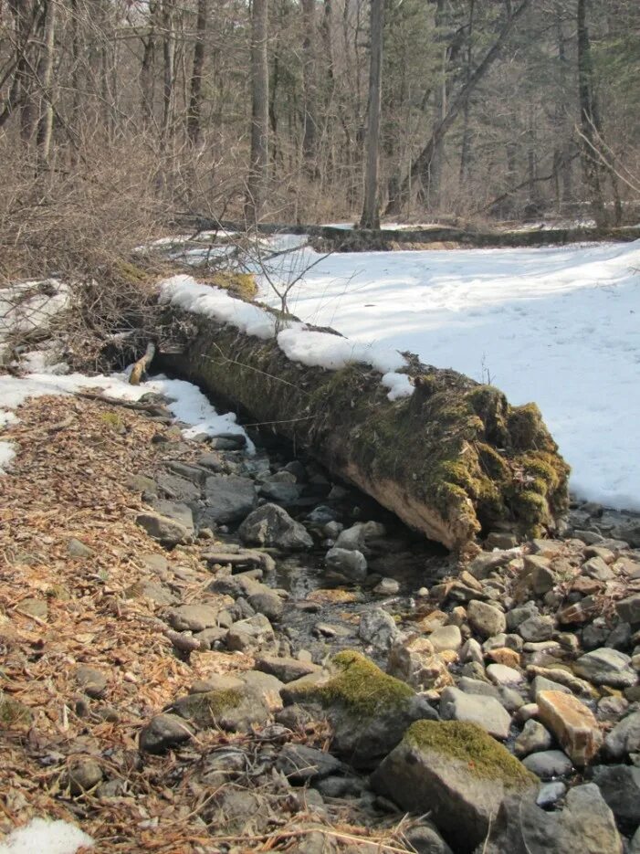 море глубокое, а ручеёк. глубокий ручей красноярский край. глубокий а ручей. глубокий ручей. водопад годердзи грузия.
