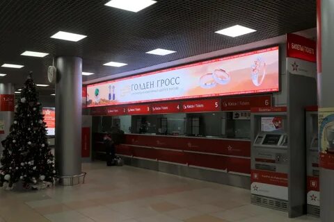 Голден гросс
