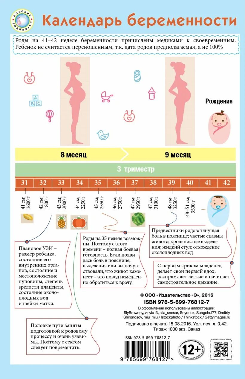 Календарь беременности. Календарь беременной. Календурь бкоеменности. Календарь беременности по неделям.