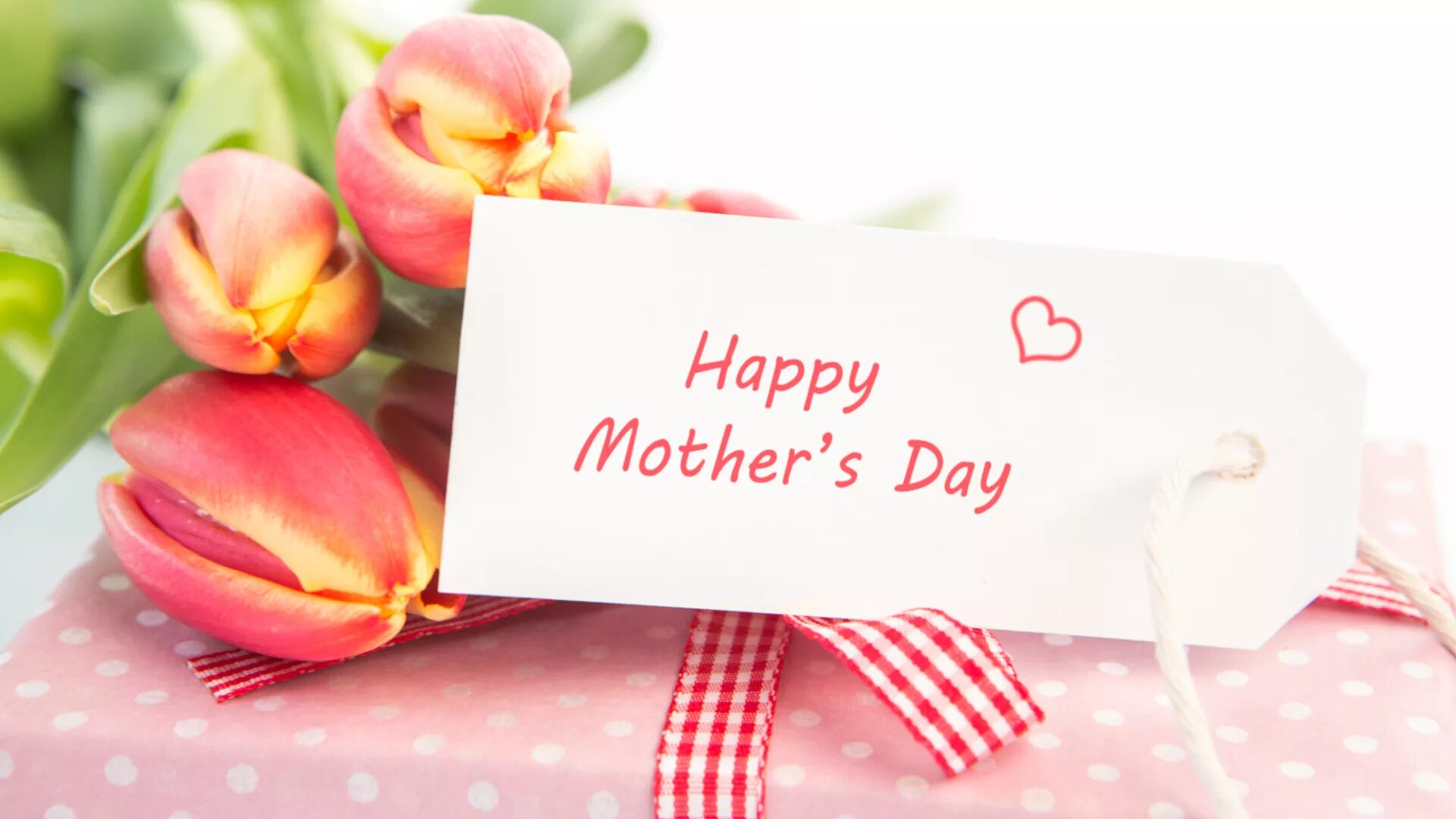 Коллеги мамы. День матери. Счастливого дня матери. С днем мамы. День матери заставка.