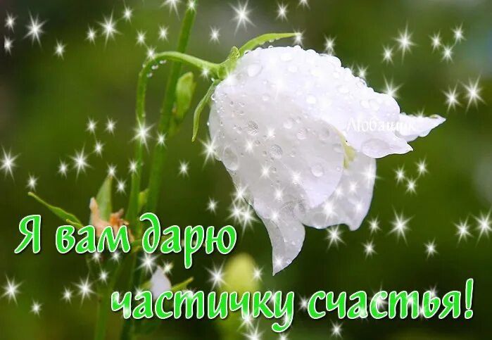 Каждому кусочек счастья. Подарить кусочек счастья. Кусочек счастья. Радуга любви. Мой кусочек счастья.