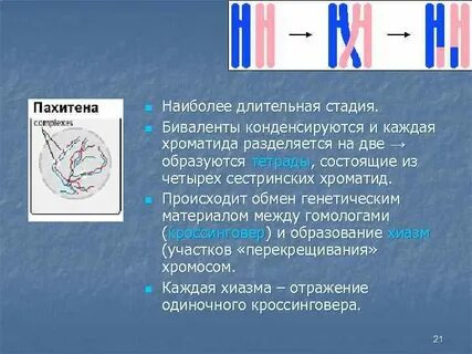 Бивалент набор