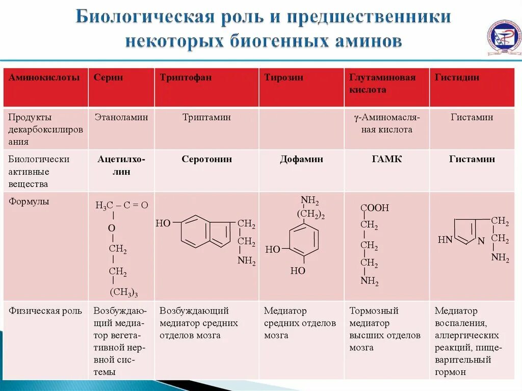 Основные группы бав. Биогенные Амины таблица биохимия. Образование биогенных Аминов гистамина. Биороль биогенных Аминов. Биологическая роль биогенных Аминов.