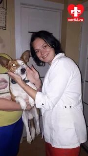 Ветеринар нижний новгород