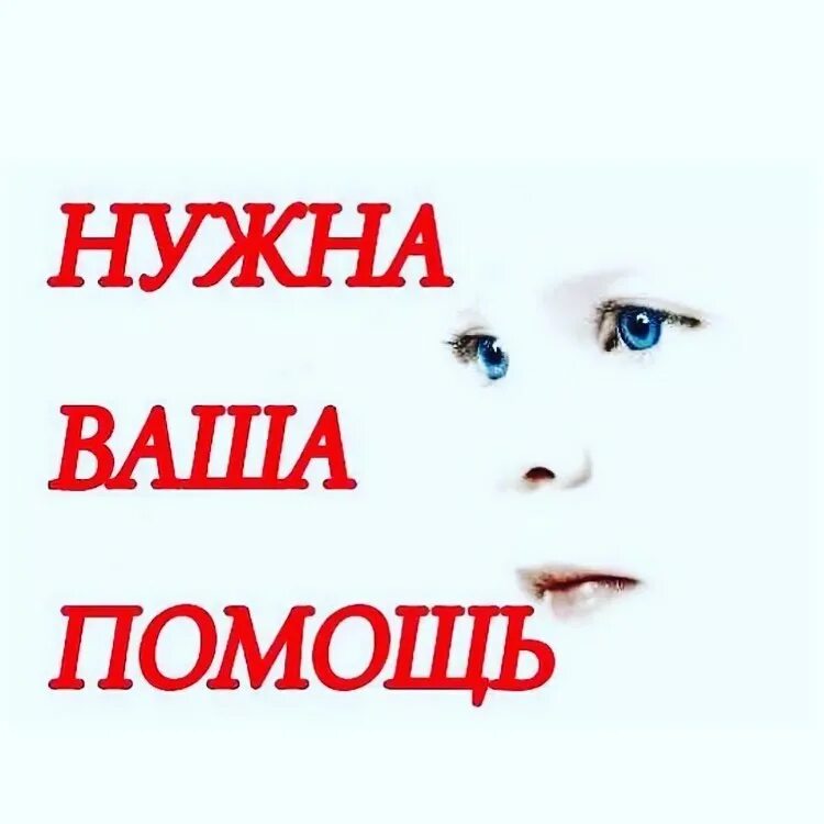 ребенок просит помощи. помогите картинка. нужна помощь детскому саду. прошу помощи. прошу помощи.