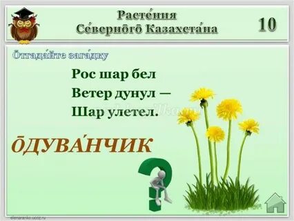 Рос шар бел дунул загадка