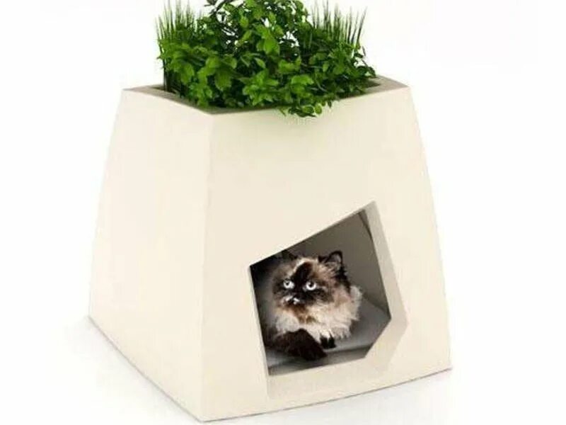 Sprout House. Mine pet home