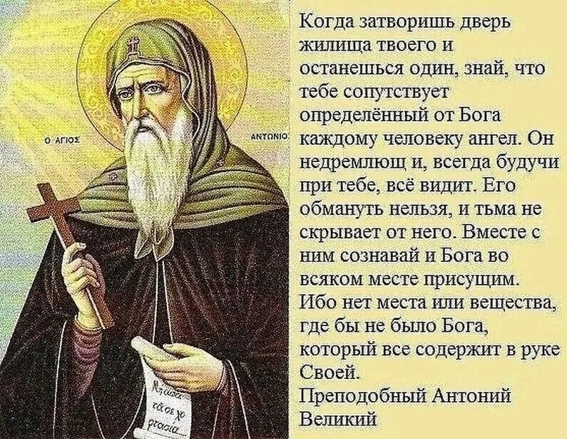 Ларец духовной мудрости книга. Фаддей витовницкий духовные поучения. Изречения святых отцов православной церкви. Высказывания старцев православные. Наставления святых старцев.