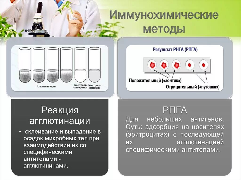 Реакция агглютинации в пробирках. Серологическая реакция агглютинации. Контроль антигена при реакции агглютинации. Иммунохимические методы исследования. Из какого ингредиента получают филобиома актив