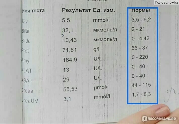 Биохимия крови лошади расшифровка.