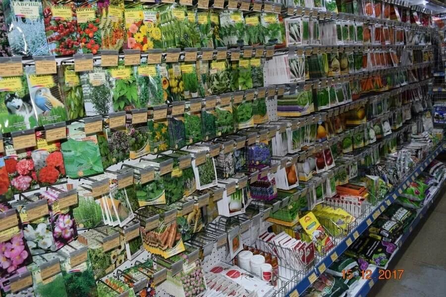 магазин семян усадьба. семена овощей почтой. сибирские сортовые семена новосибирск. магазин семян. магазин семена на рынке.