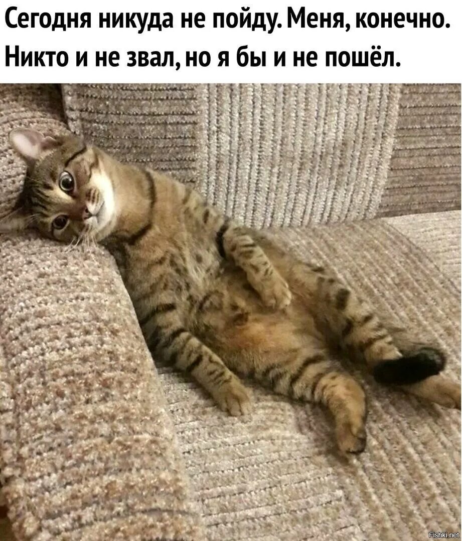 Сижу думаю что делать