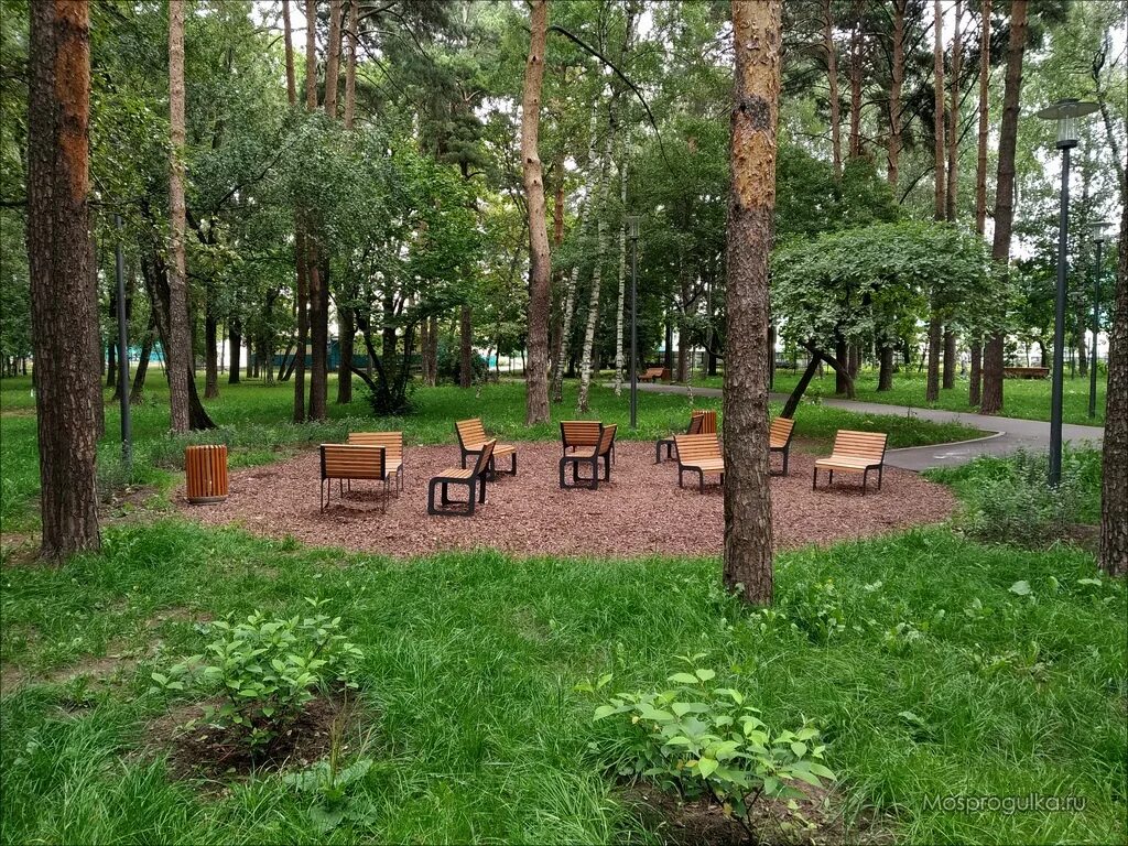 зона отдыха в парке. парк в калачинске калач на оми. зоны отдыха в парках. в парке отдыха создали. зоны отдыха в парках.