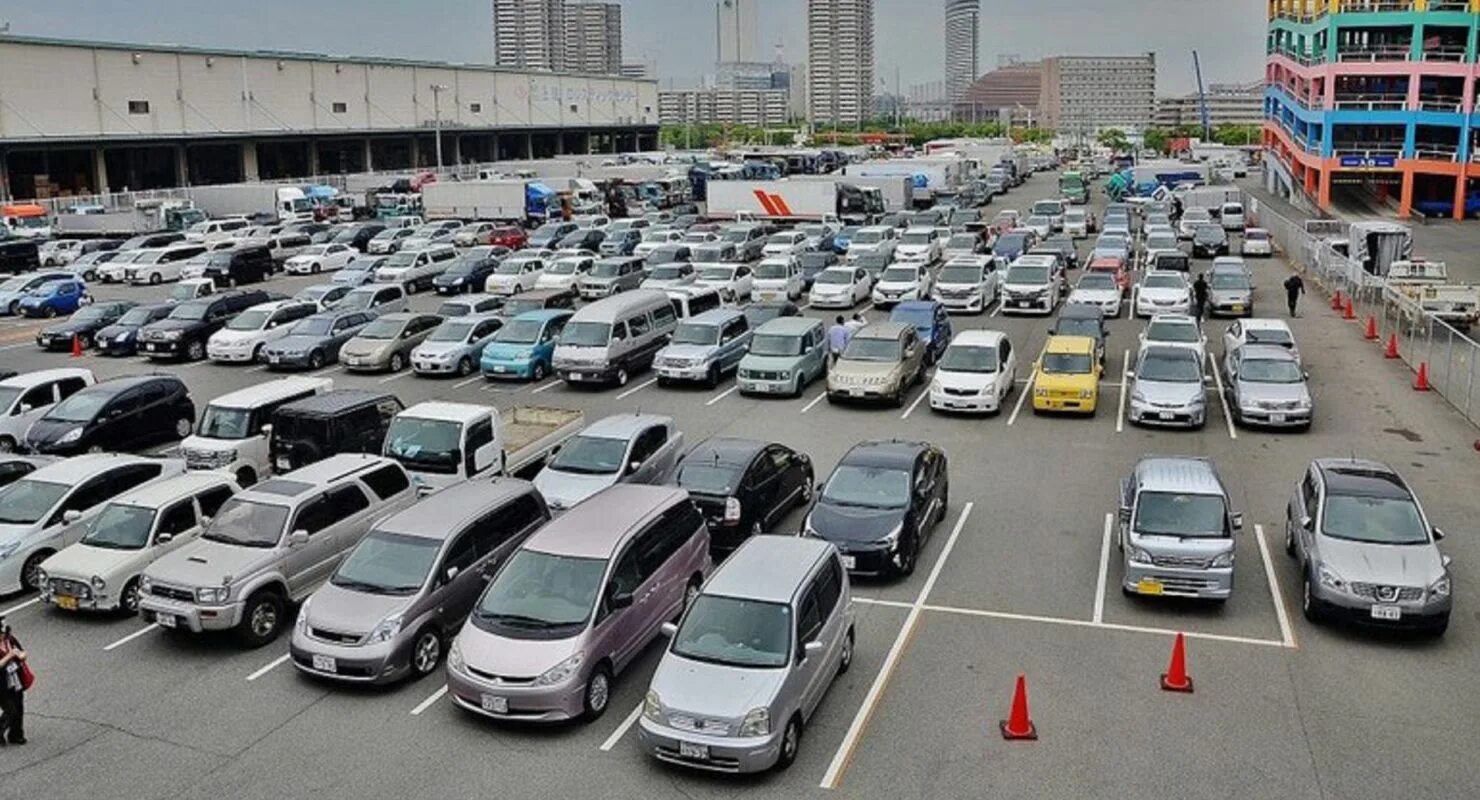 Авторынок Японии. Японские аукционы автомобилей. Японский рынок автомобилей. Аукцион машин в Японии. Купить б у машину из японии