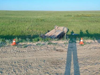 Рено оренбургская область