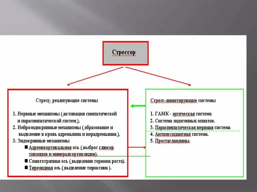 Компанию стресс. Стресс лимитирующие системы патофизиология. Стресс-реализующие и стресс-лимитирующие механизмы.. Структурно-функциональная организация стресс-реализующей системы. Понятие о стресс лимитирующих системах.