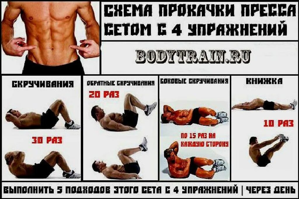 Качаемся правильно программа